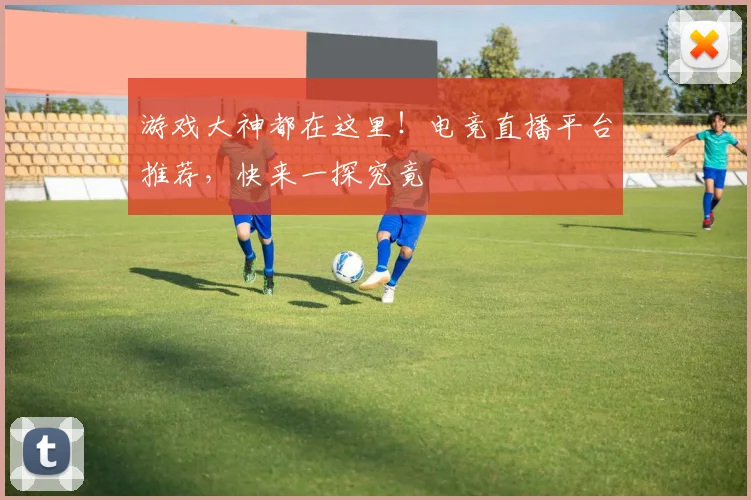 游戏大神都在这里！电竞直播平台推荐，快来一探究竟